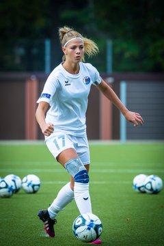 Bild 1041 - wBJ Alstertal-Langenhorn - VfL Pinneberg : Ergebnis: 2:3
